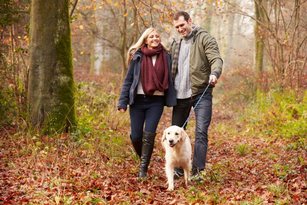 Truffle Hunting